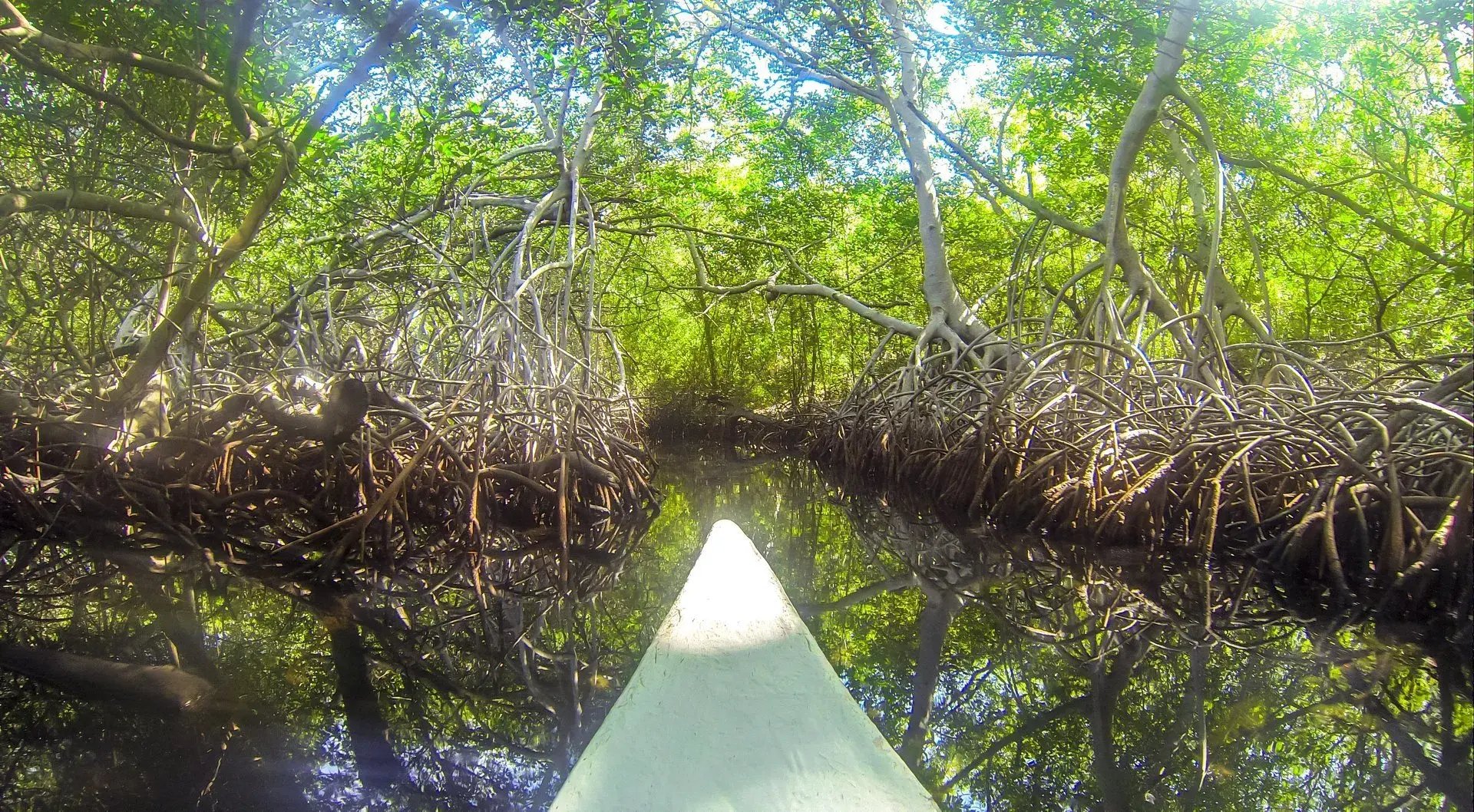 majagua 5